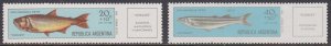 Argentina, Fauna, Fishes MNH / 1970