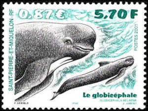 St. Pierre & Miquelon #702-703, Complete Set(2), 2001, Whales, Never Hinged