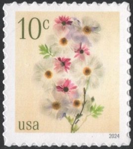 SC#5901 10¢ Poppies and Coneflowers Single (2024) SA