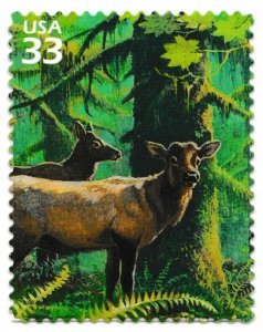 US 3378e Pacific Coast Rain Forest Roosevelt Elk 33c single (1 stamp) MNH 2000 