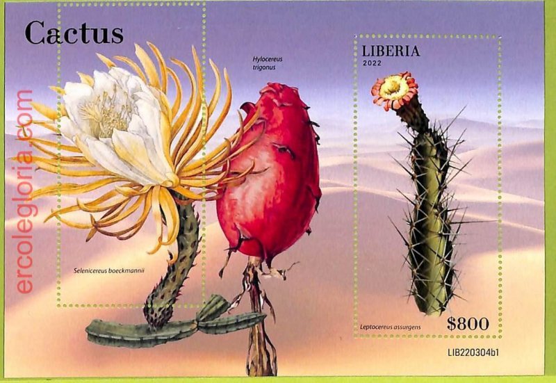 B0549 - LIBERIA - MISPERF ERROR Stamp Sheet - 2022 - FLOWERS, Cactus-