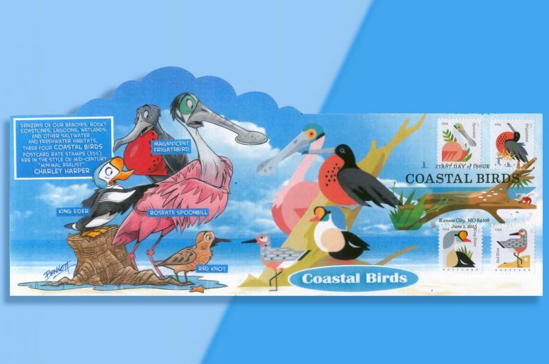 Four Coastal Birds See Themselves Graphically Simplified!  Cachetoons Pop-Up FDC