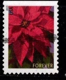 #4816 Poinsetta (Off Paper)- Used