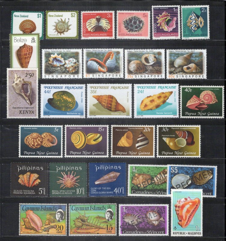 Seashells Stamp Collection MNH Marine Life ZAYIX 0424S0318