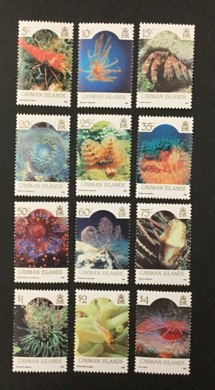 CAYMAN ISLANDS #562-573, 1986 set of 12 “Marine Life”, VF, MNH. CV $35.20. (BJS)