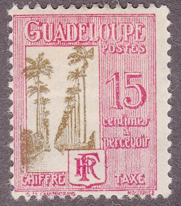 Guadeloupe J29 Avenue of Royal Palms 1928