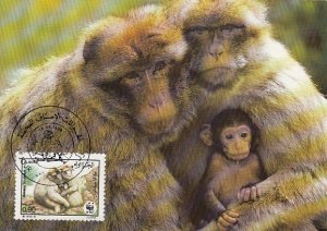 Algeria 1988 Maxicard Sc #873 90c Barbary Apes Family WWF