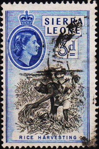 Sierra Leone. 1956 3d S.G.214 Fine Used