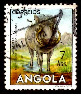 Angola 1953 African Wart Hog Wild Animals 7a Scott.377 Used (#9)