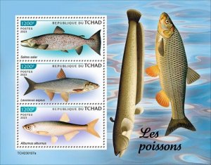 Chad - 2023 Fishes, Atlantic Salmon, Asp - 3 Stamp Sheet - TCH230107a