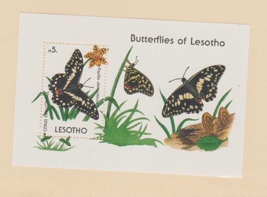 Lesotho Scott #773 Stamp - Mint NH Sheet