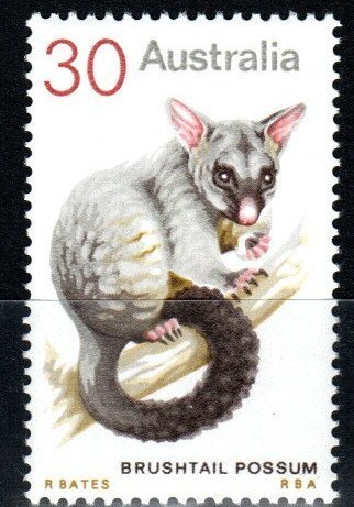 Australia #568 MNH