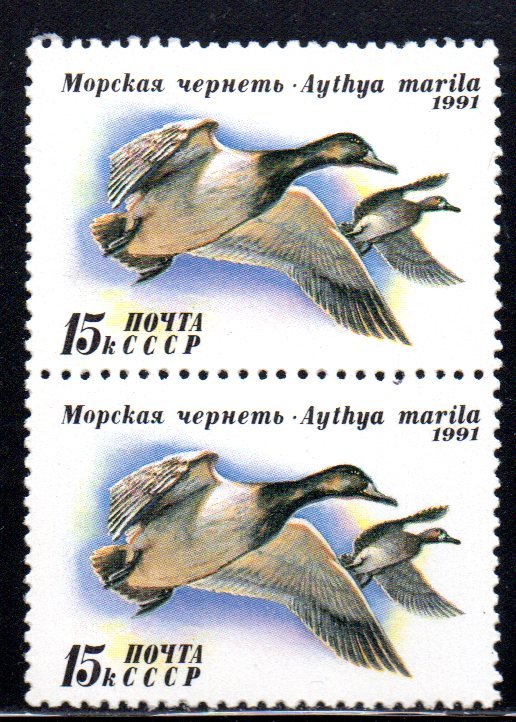 RUSSIA 6011 MNH PAIR BIN $.90 DUCKS