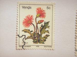 VENDA, 1979, 5c CTO Flowers, ?Gerbera jamesonii?  Scott 9 CV 0.55