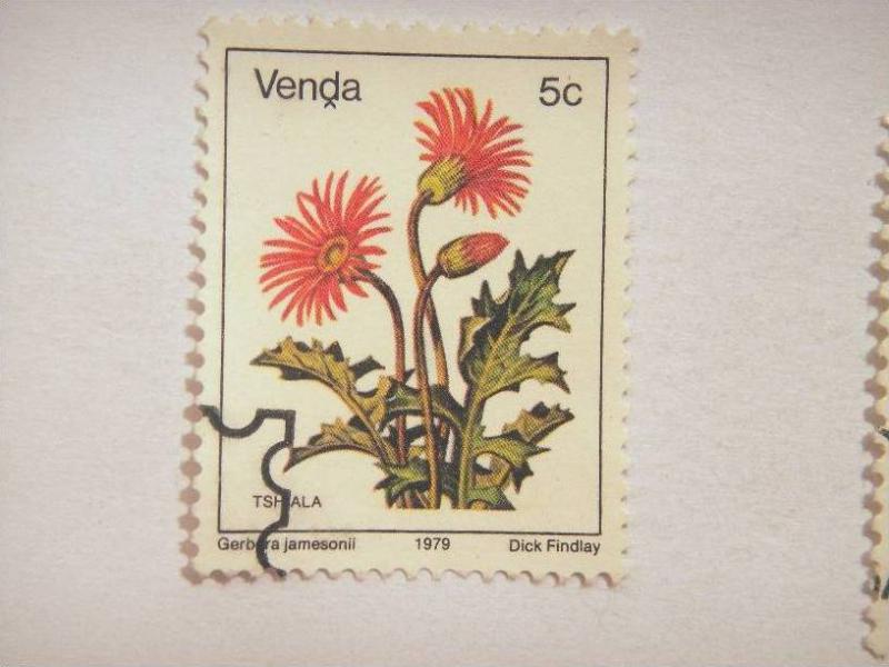 VENDA, 1979, 5c CTO Flowers, ?Gerbera jamesonii?  Scott 9 CV 0.55