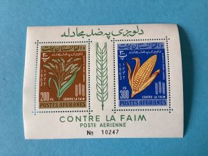 Afghanistan 1963 Mint Never Hinged Mini Stamp Sheet  Stamps R46145 