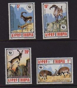 Ethiopia 1990 Sc 1303-1306 WWF set MNH