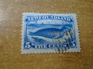 Newfoundland  # 55  used