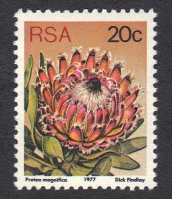 South Africa 1977 MNH succulents   perf 12 1/2   20 c      #