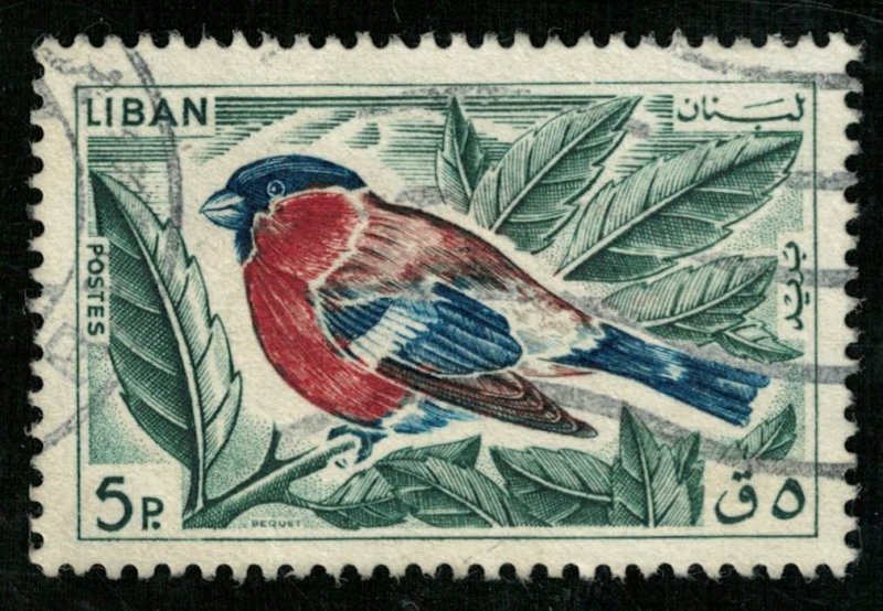 Bird (T-5153)