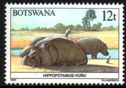 Botswana - 1987 Animals 12t Hippo MNH** SG 627