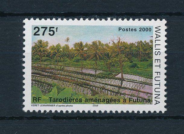 [24094] Wallis & Futuna 2000 Taro Cultivation MNH