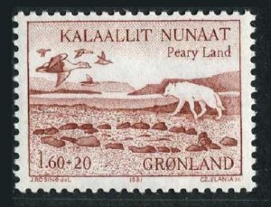 Greenland B9, MNH. Michel 118. Stone Tent Ring, Polar wolf, King Ducks, 1982.