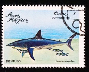 CUBA Sc# 2385  ARCHIPELAGO WILDLIFE marine fish   1c  1981 used cto