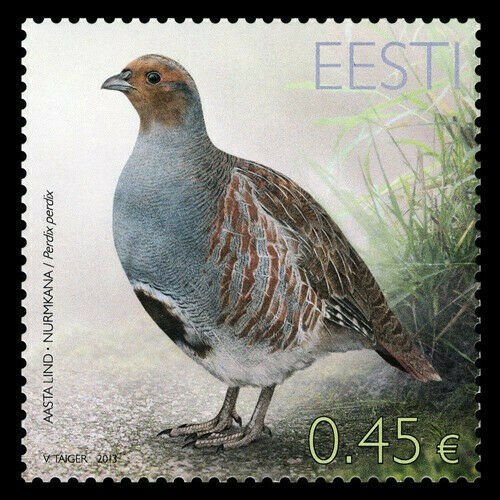 2013  ESTONIA  -  SG: 704  - PARTRIDGE - BIRD  - UNMOUNTED MINT