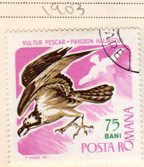 ROMANIA 1903 BIRDS OF PREY- OSPREY