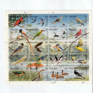 Malawi BIRDS Wildlife M&U on Pages (Aprx 70 Items) Goy 1856