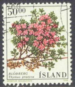 ICELAND 664 USED 1988 50k FLOWER