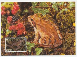 Maximum card Jersey 1989 Frog - WWF