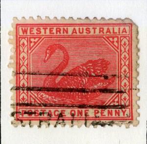 WESTERN AUSTRALIA 76 WMK 70 USED SCV $1.00 BIN $0.40 BIRDS