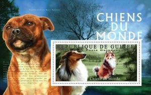 Guinea 2009 MNH - Dogs of the World III. YT 1067, Mi 7216/BL1790