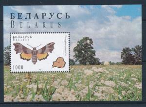 [27397] Belarus 1996 Butterflies Schmetterlingen Papillons  MNH Sheet