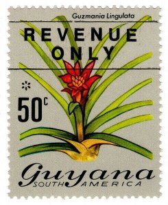 (I.B) British Guiana (Guyana) Revenue : Duty Stamp 50c