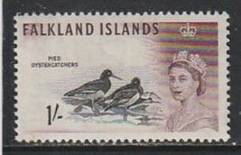 1960 Falkland Islands - Sc 137 - MNH VF - 1 single - Pied Oystercatchers