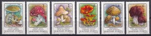 Hungary, Mushrooms  / MNH / 1986