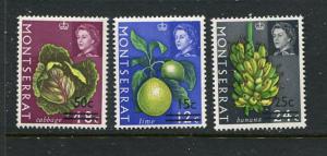 Montserrat #193a-5a Mint