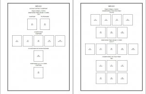 PRINTED MEXICO 1856-2010 + 2011-2020 STAMP ALBUM PAGES (499 pages)