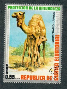 Equatorial Guinea African Animals - Camels used single