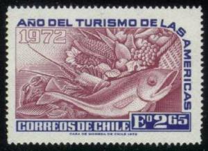 Chile #431 Tourism Year of the Americas, Unused (0.40)