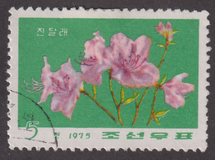 North Korea 1373 Azalea 1975