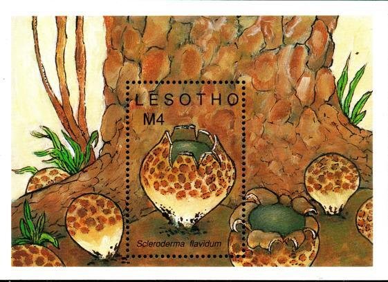 Lesotho - 1989 Fungi MS MNH** SG MS904