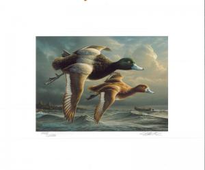 RW66 1999 FEDERAL DUCK STAMP PRINT GREATER SCAUP by Jim Hautman 