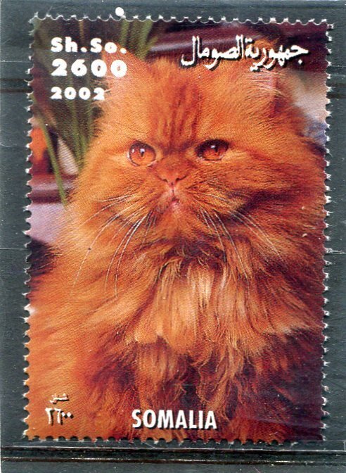 Somalia 2002 DOMESTIC CAT 1 value Perforated Mint (NH)