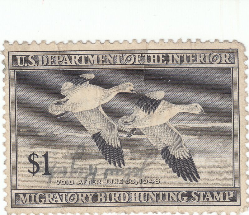 Scott # RW14 - $1 Black -1947-Federal Duck Stamp - Used - SCV - $16.00