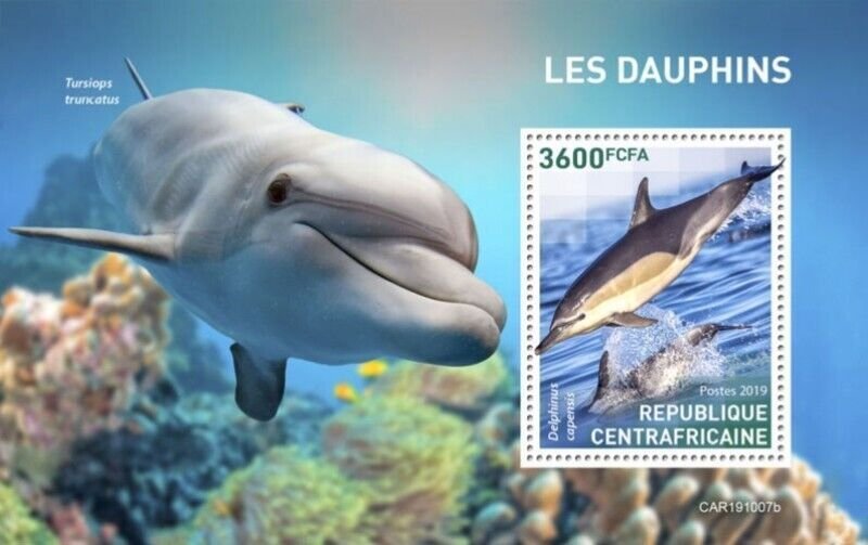 Central Africa - 2019 Dolphins on Stamps - Stamp Souvenir Sheet - CA191007b