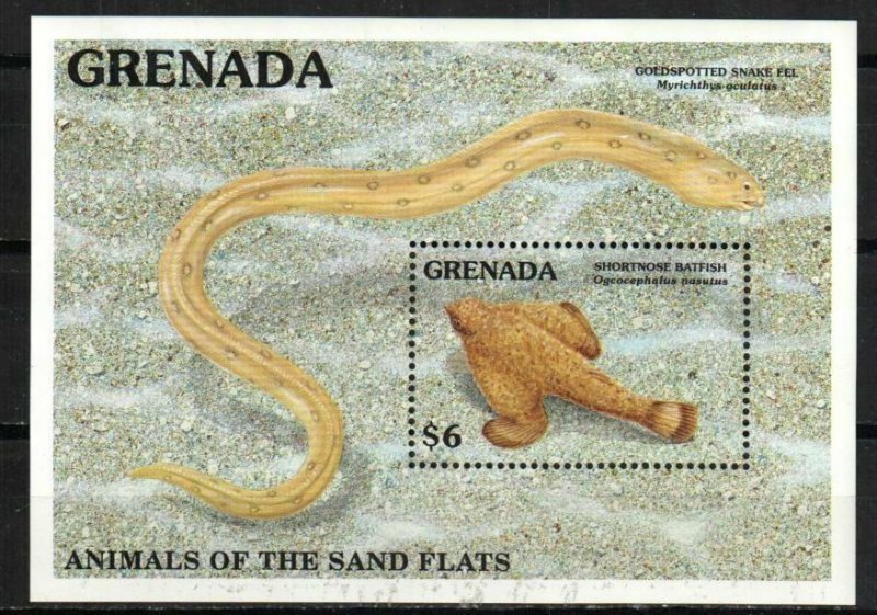 Grenada Stamp 2026  - Marine Life